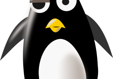 Les dernières mises à jour de Google pouvaient être attendues