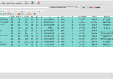 Comment analyser des sites à potentiel SEO rapidement?