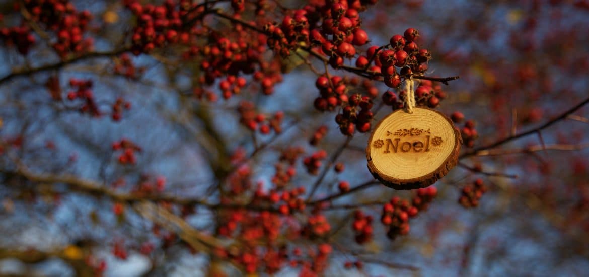5 idées de cadeaux d’entreprise 2.0 pour Noël