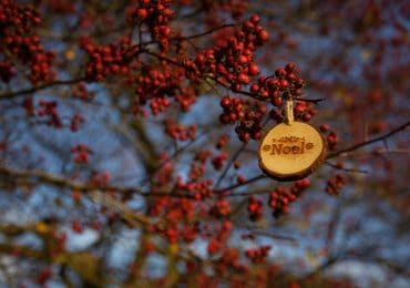 5 idées de cadeaux d’entreprise 2.0 pour Noël