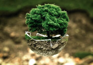 Construire une stratégie de marketing écologique
